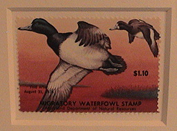 Duck stamp