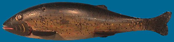 Seymor fish