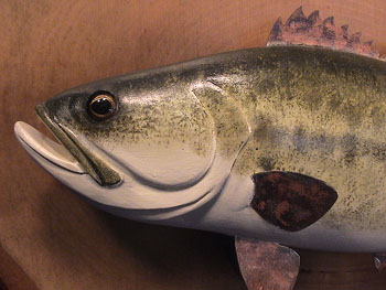 Ackerman Bass Plaque
