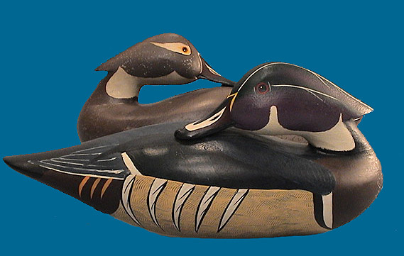Superb Mitchell Wood Duck pair