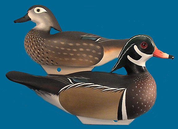 Joiner Wood Duck