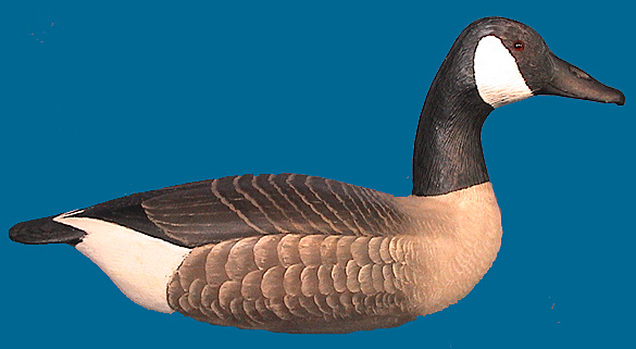 Corb Reed Canada Goose