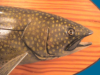 Irvine Lake Trout