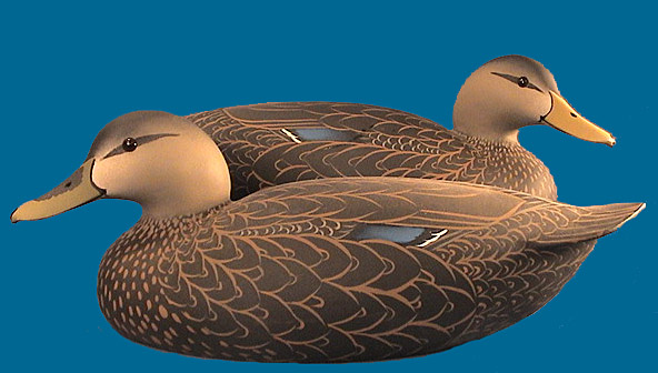 Oliver Lawson Black Duck pair