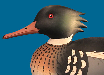 Lawson Merganser pair