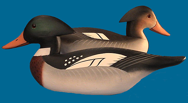 Scarce RB~Merganser pair by Joiner S&D 2003