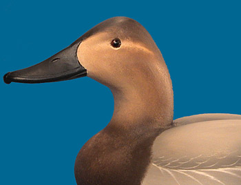 Joiner Decorative Canvasbacks