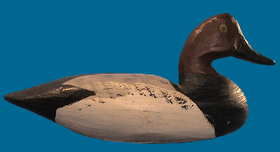 Superb Doug Jester drake Canvasback