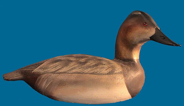 Ward Brothers  hen Canvasback