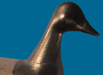 Brant head detail