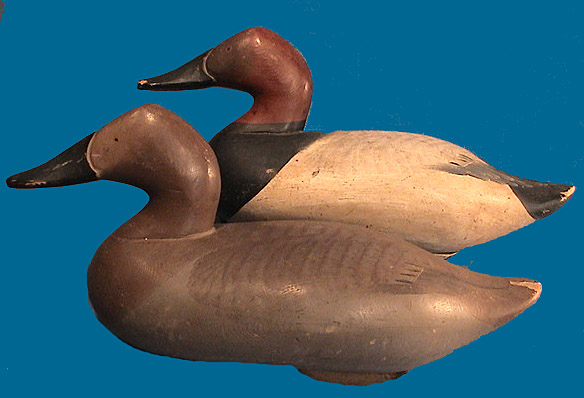 Nice pair of earlier Madison Mitchell Canvasback, rigmates & fresh to market find!