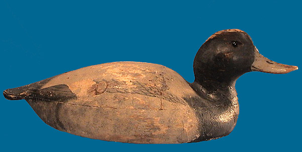 Ward Brothers drake Bluebill