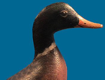 Crowell mini Mallard head detail