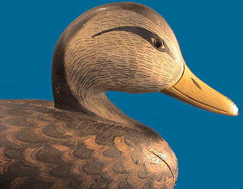 Norman Hudson Black Duck, pictured in the Ira Hudson Book