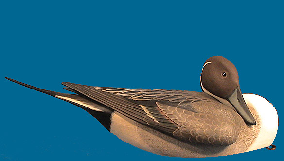 Frank Finney Pintail