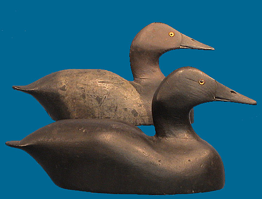 Frank Dolsen Canvasback pair