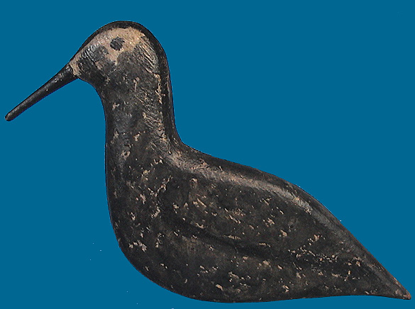 Golden Plover