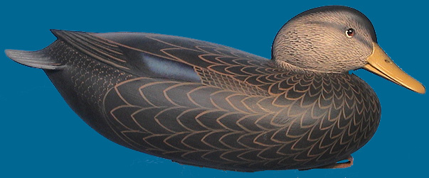 Rick Brown Black Duck