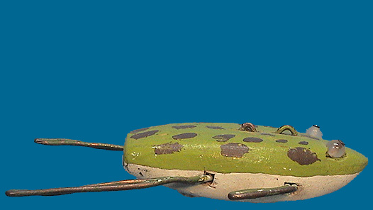 Frog 1 side