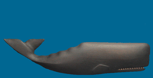 Ian McNair Whale