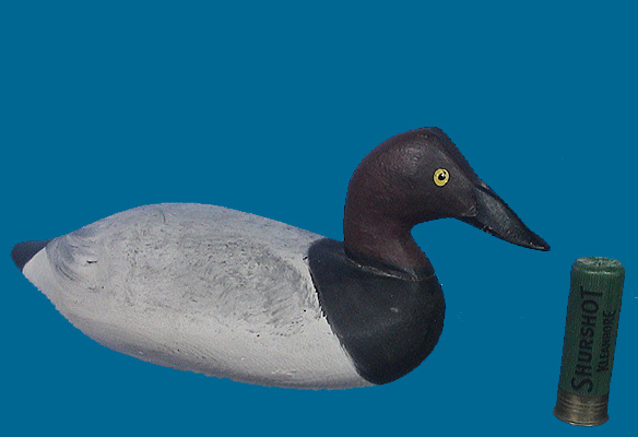 Currier mini Can drake