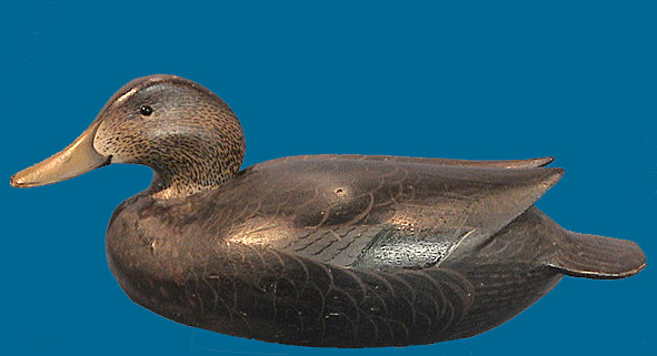 Collector Grade Ward Bro Black Duck