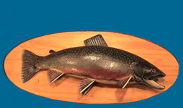 Irvine Brook Trout  plaque