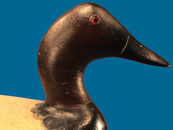 Pristine drake Canvasback by Bert Graves, circa 1920-30