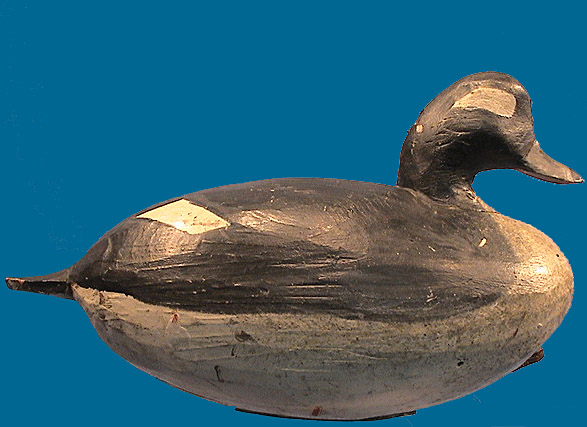 Delbert Hudson Bufflehead, ex-Maryland Historical  Society