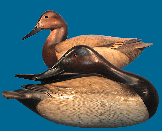 Gibian Canvasback pair