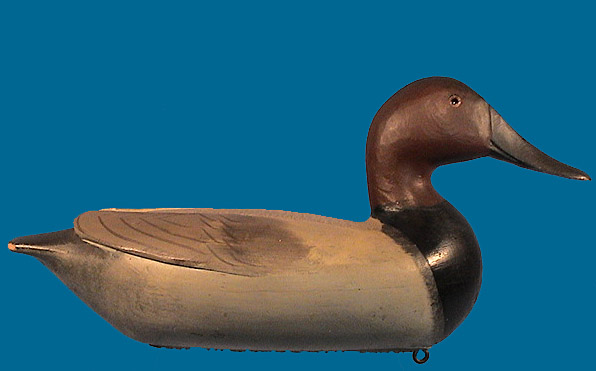 Charles Perdew Canvasback