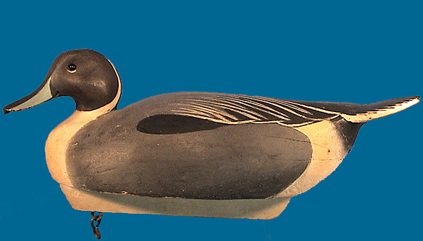 Nice Ward Brothers Pintail drake