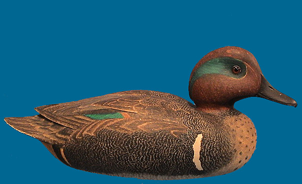 Harold Haertel GW Teal