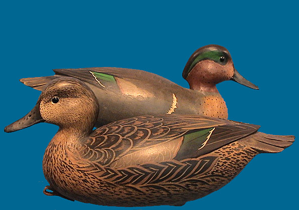 Bob White Green-Winged Teal