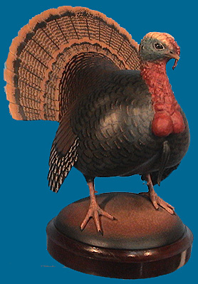 EW TURKEY 2