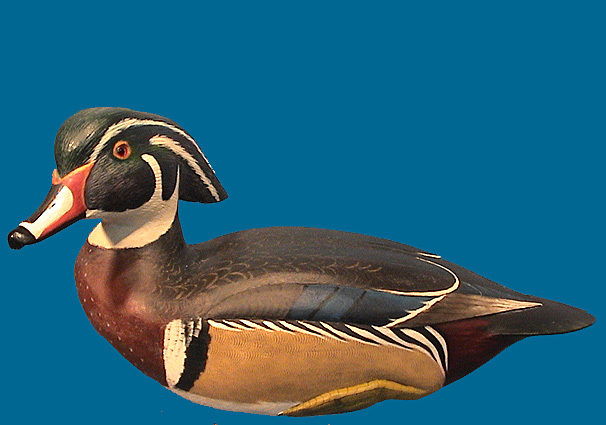 Corb Reed Wood Duck drake