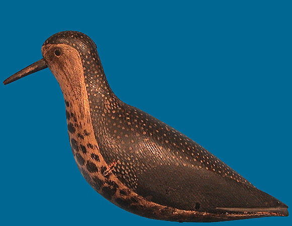 Morton Golden Plover