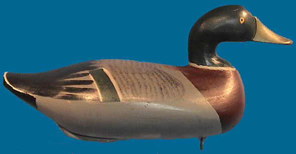 McGaw Mallard drake