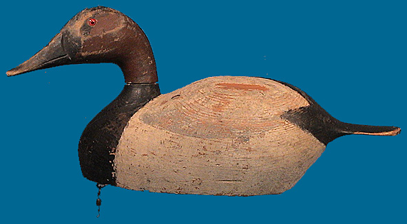 Moak Canvasback