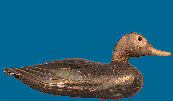 Hart Black Duck decoy