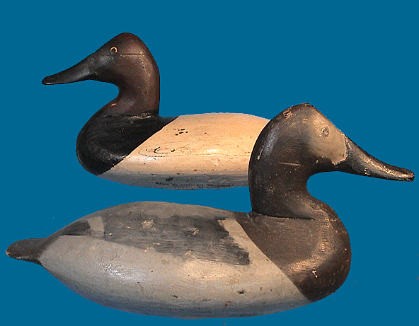 Heverin Canvasback pair