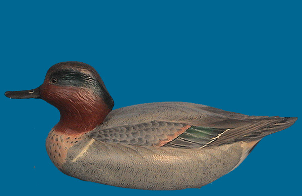 Dan Brown GW TEAL
