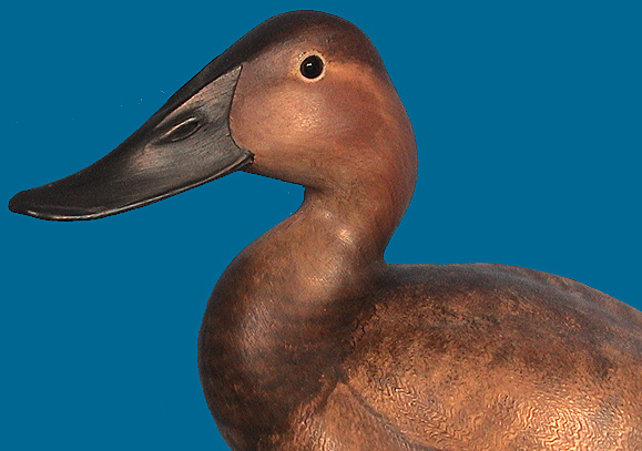 GIBIAN HEN CAN