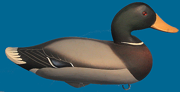 JOINER DRAKE MALLARD EARLY