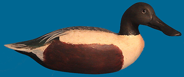 CORB REED