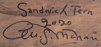 TERN Sig
