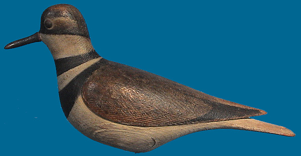 McNair Killdeer
