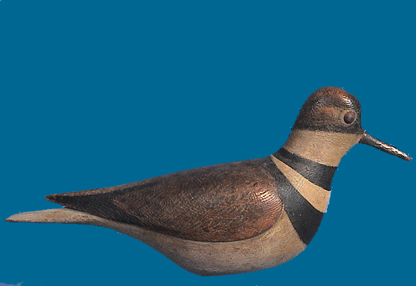 KILLDEER