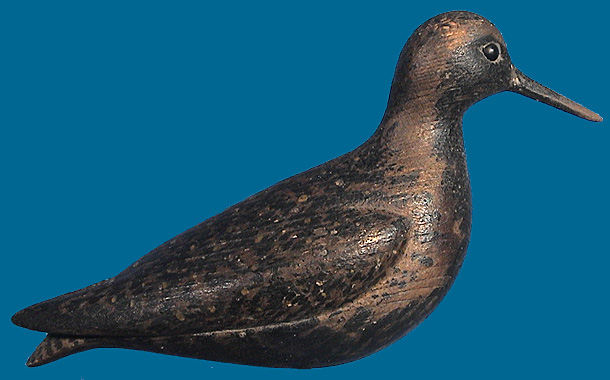 GOLDEN PLOVER