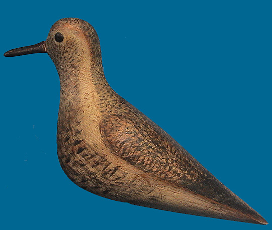 Golden Plover